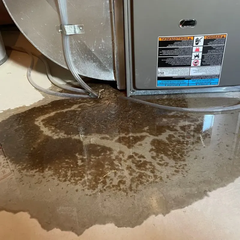 Pipe Burst and Leak Restoration in Lincoln County, WI